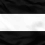 Valerain Intelligence Service