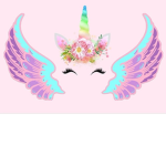 Unicorn Dance Studio