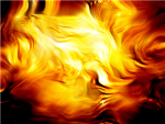 The Golden Dragons