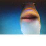 Fishy cult:)