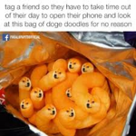 The School Memers