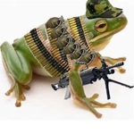 Froggy Army Forever