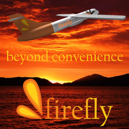 FireFly Terminal