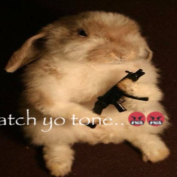 Rabbits & Dracos