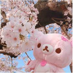 bearfully <3