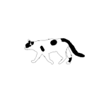 Live in the void