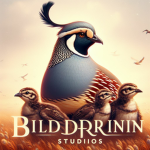 Bıldırcın Studios