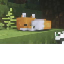 Foxi's Fox Pack