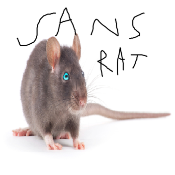 Killing Rats Simulator