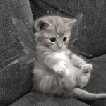 adorlera