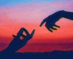 My beautiful sunsets