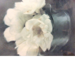 Flower Jar Gymnastics Club