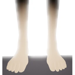 LEGS icon