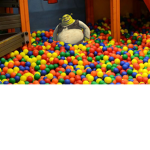 Shrek's Chuck E Cheese Ball Pit