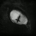 porcelainhearts