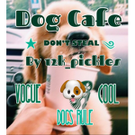 Donate if you love dogs!!