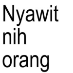 PT Nyawit