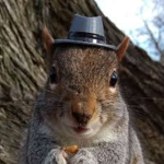 My squirrels. . .
