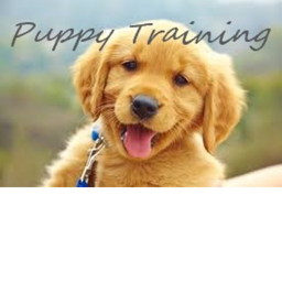 Puppy Training Center