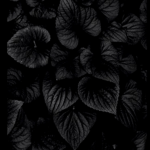 FLOWERSII