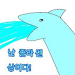 상어놀이