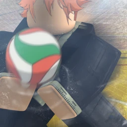 Karasuno High Volleyball Gym icon