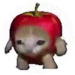 킹피스행복클레스해적단