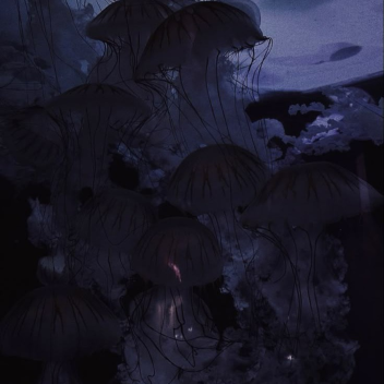 I like jellyfish.
