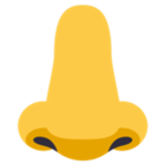 noses united