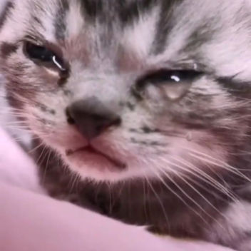 paω