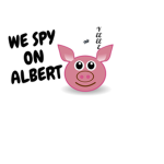 Spy On Flamingo