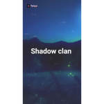 Veil Of Shadows