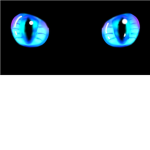 Kitten Eyes |Twin Fashion Designs|