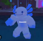 Blue axolotl only