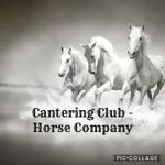 Cantering Club - Horse Company