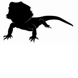 Reptile University's Teacher Interview