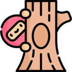 hide and seek fun games