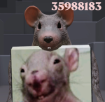 Goonified