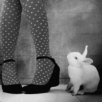 dear dolly - ,,