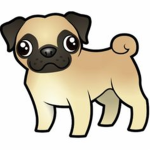 Team Pug power