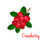 The Cranberry Crew!