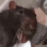 Rat Revolver