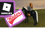 RoBlOx RiDeRs!!!!