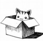 -funny cat group (REBORN)-