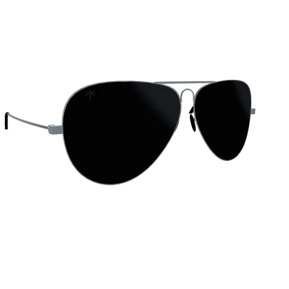 Classic Black Sunglasses Roblox item