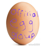 EGG HEADS MANIA