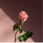 lovely-clothing