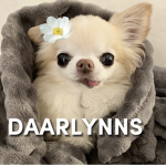 daarlynns