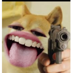 :Doge only group: