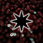 The Floral Accord